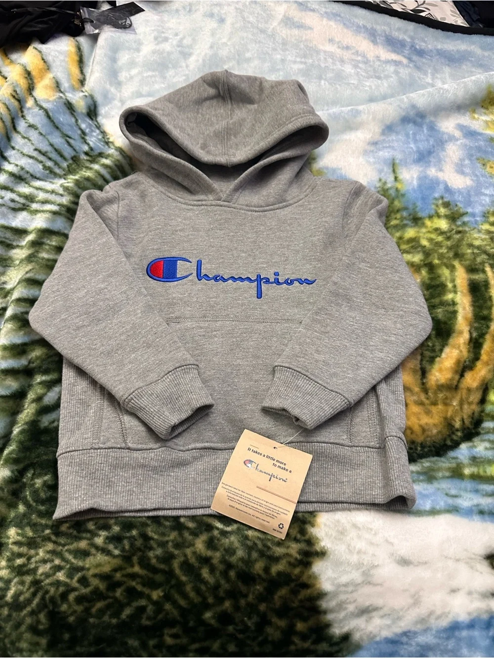 Champion Kids Grey Hoodie with Blue & Red Logo